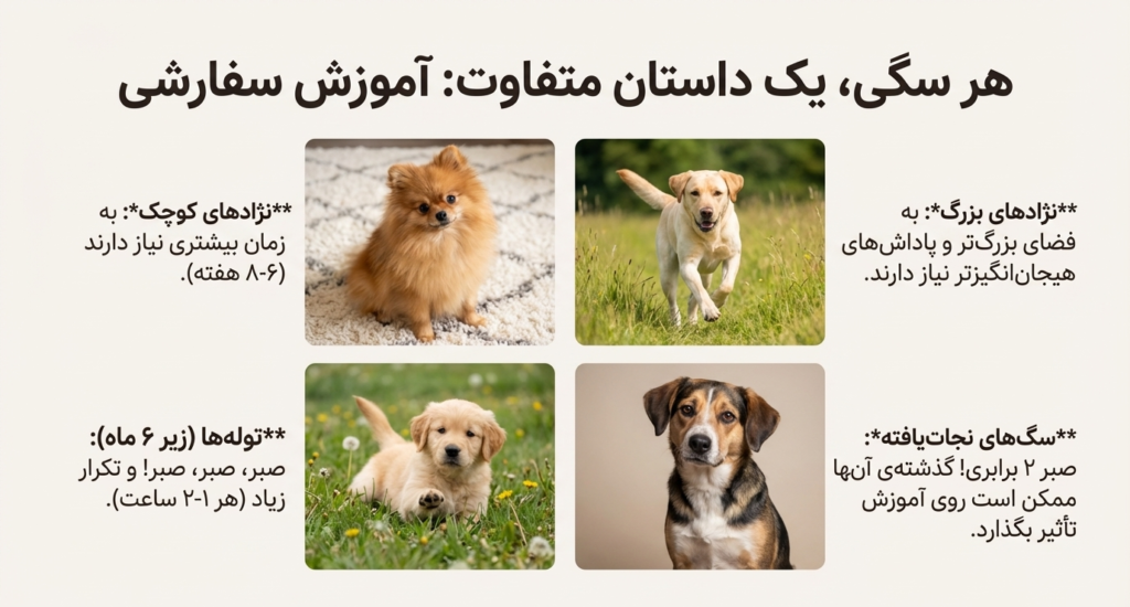 آموزش سگ برای جای دستشویی