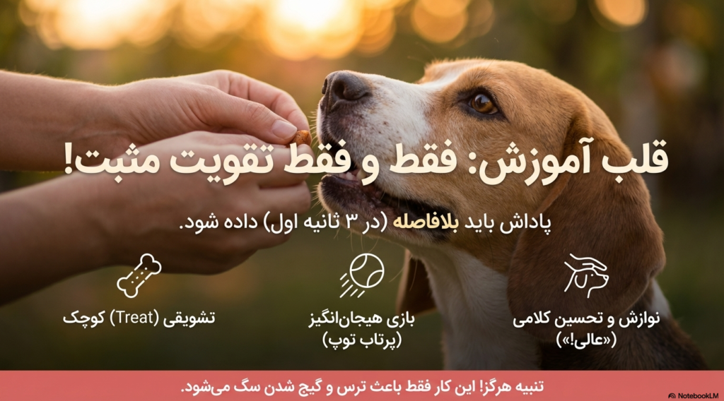 آموزش سگ برای جای دستشویی