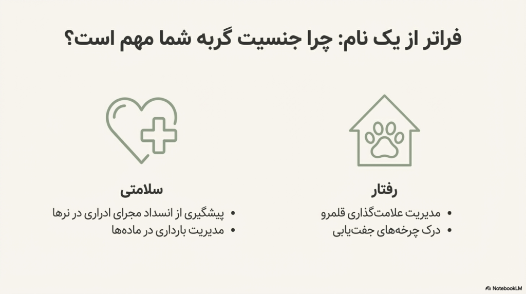 تعیین جنسیت بچه گربه