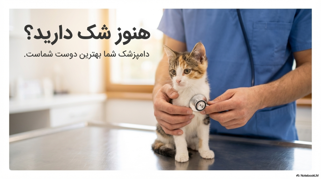 تعیین جنسیت بچه گربه