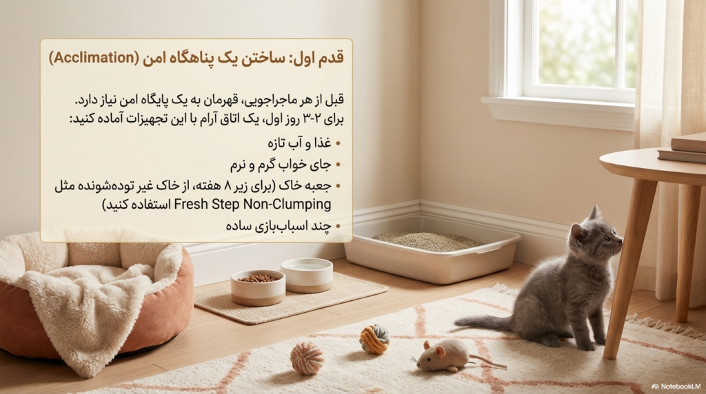 راهنمای کامل اجتماعی کردن بچه گربه 1 راهنمای کامل اجتماعی کردن بچه گربه