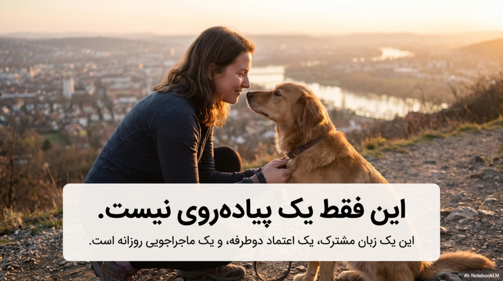 راه رفتن سگ با قلاده یا بند