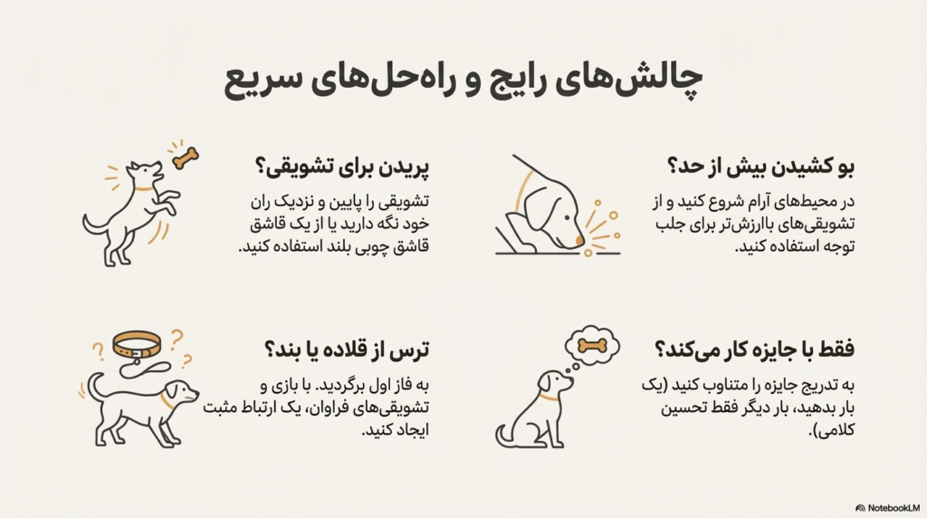 راه رفتن سگ با قلاده یا بند