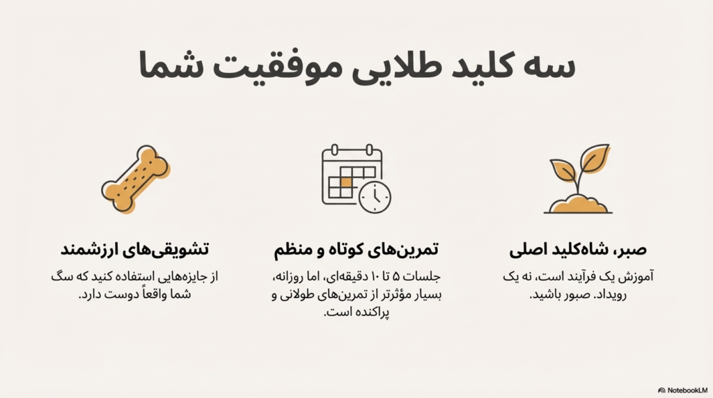 راه رفتن سگ با قلاده یا بند