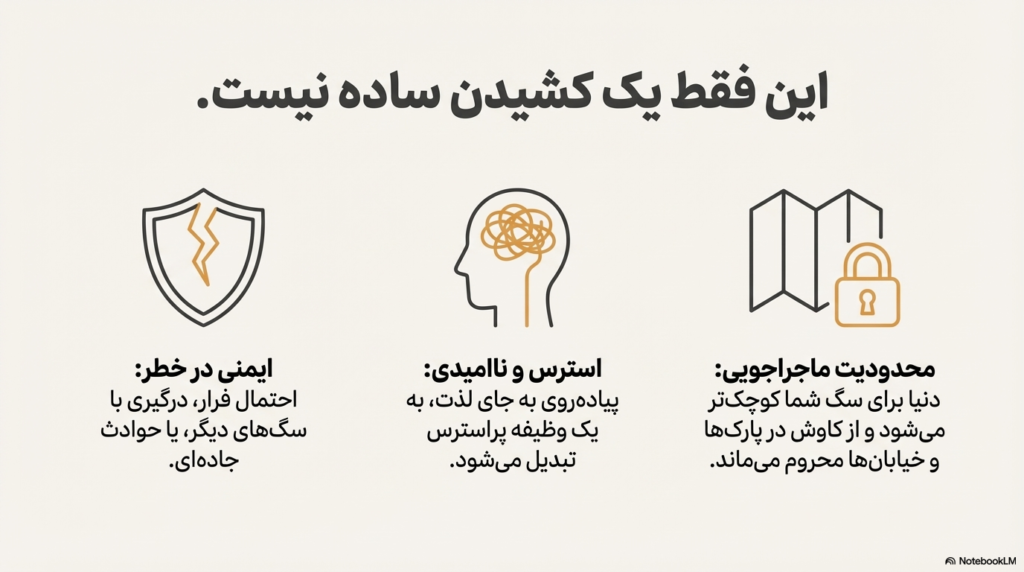 راه رفتن سگ با قلاده