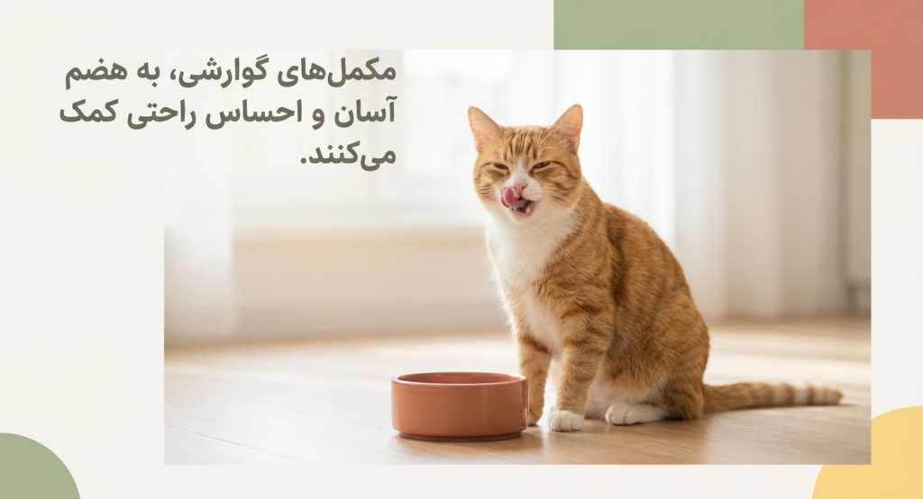 مکمل‌های غذایی گربه‌ها