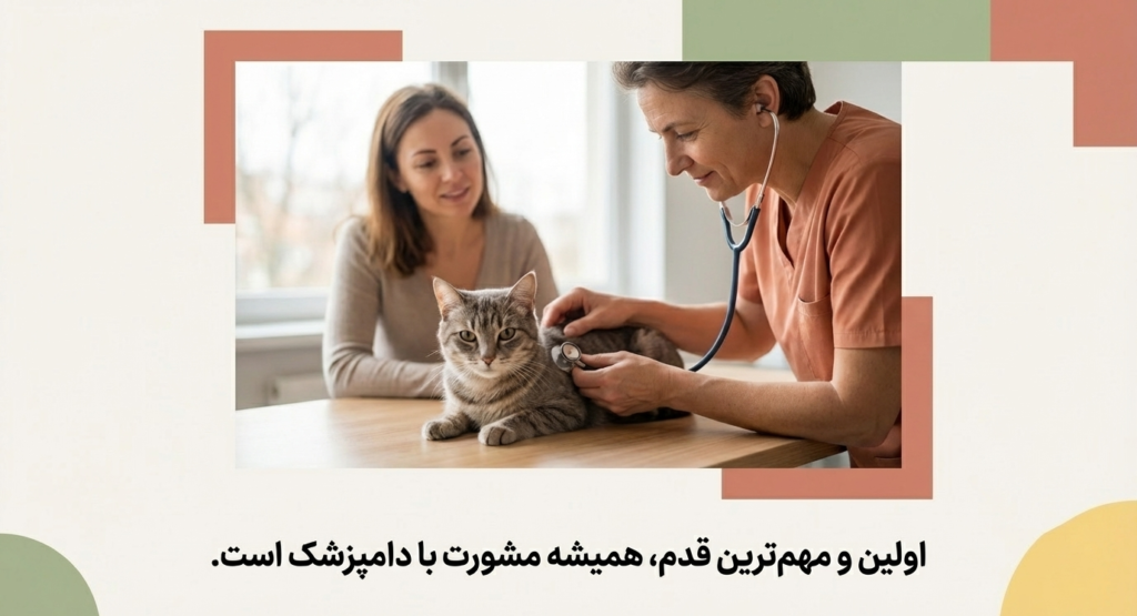 مکمل‌های غذایی گربه‌ها