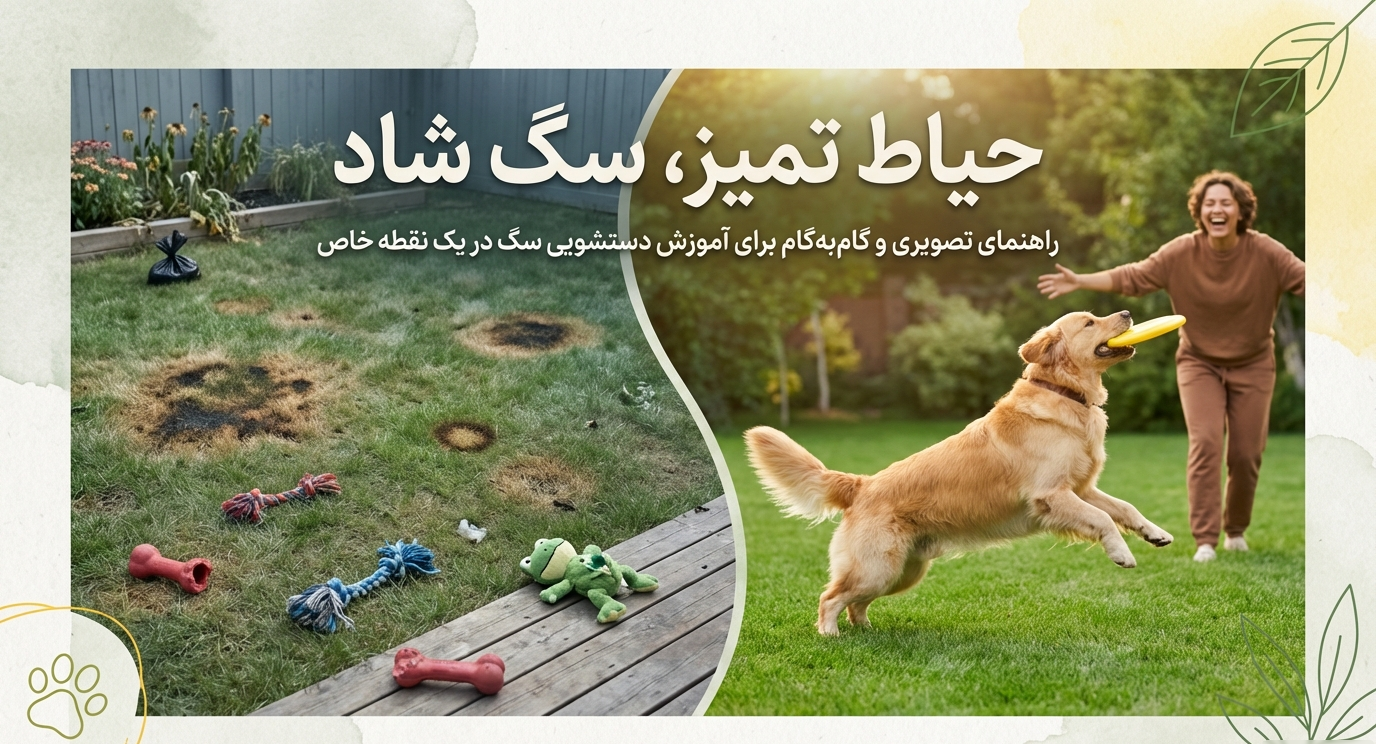 آموزش سگ برای جای دستشویی