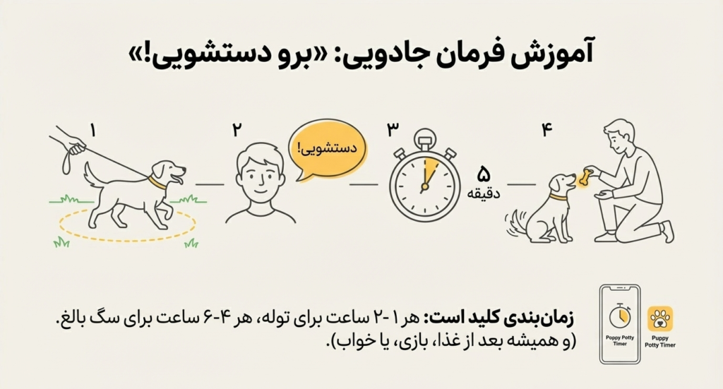 آموزش سگ برای جای دستشویی 2 آموزش سگ برای جای دستشویی