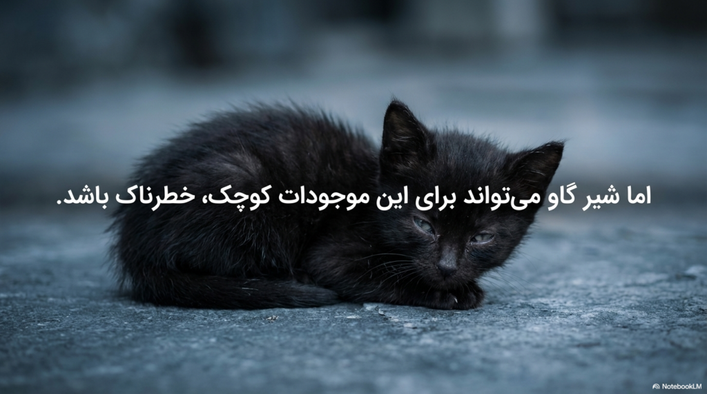 آیا بچه گربه‌ها می‌توانند شیر بخورند؟