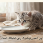 آیا بچه گربه‌ها می‌توانند شیر بخورند؟
