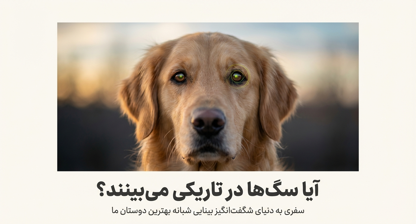 آیا سگ‌ها در تاریکی می‌بینند؟