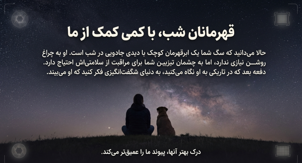 آیا سگ‌ها در تاریکی می‌بینند؟