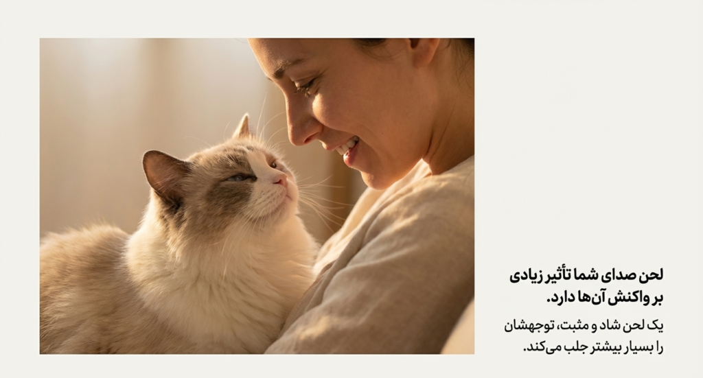 آیا گربه‌ها نام خود را می‌شناسند؟