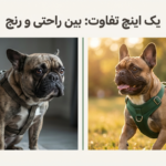 شیوه درست اندازه گیری سگ برای لباس، هارنس و قلاده