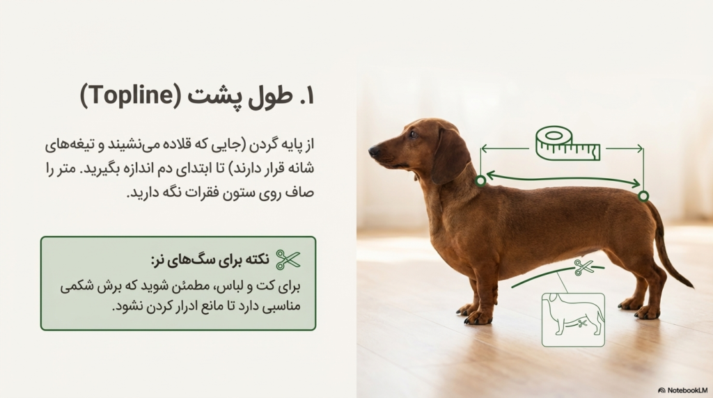 شیوه درست اندازه گیری سگ برای لباس، هارنس و قلاده 3 اندازه گیری سگ