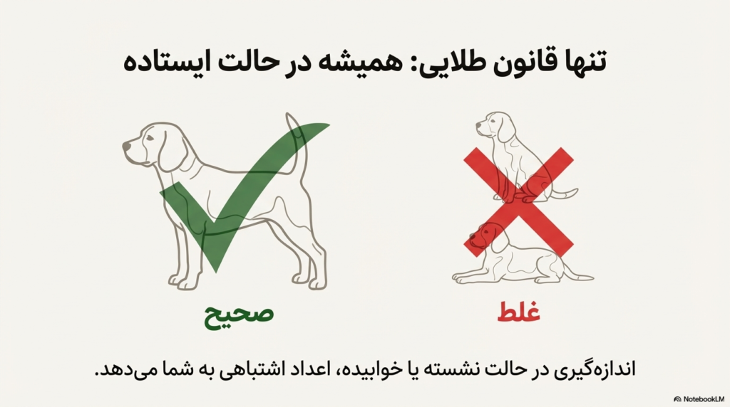 شیوه درست اندازه گیری سگ برای لباس، هارنس و قلاده 2 اندازه گیری سگ