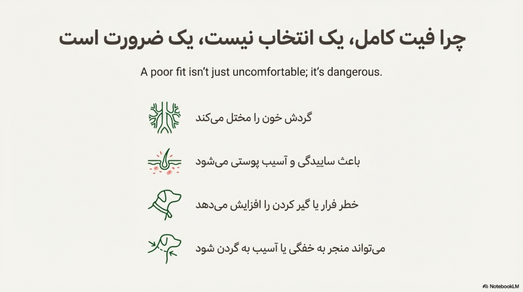 شیوه درست اندازه گیری سگ برای لباس، هارنس و قلاده 1 اندازه گیری سگ