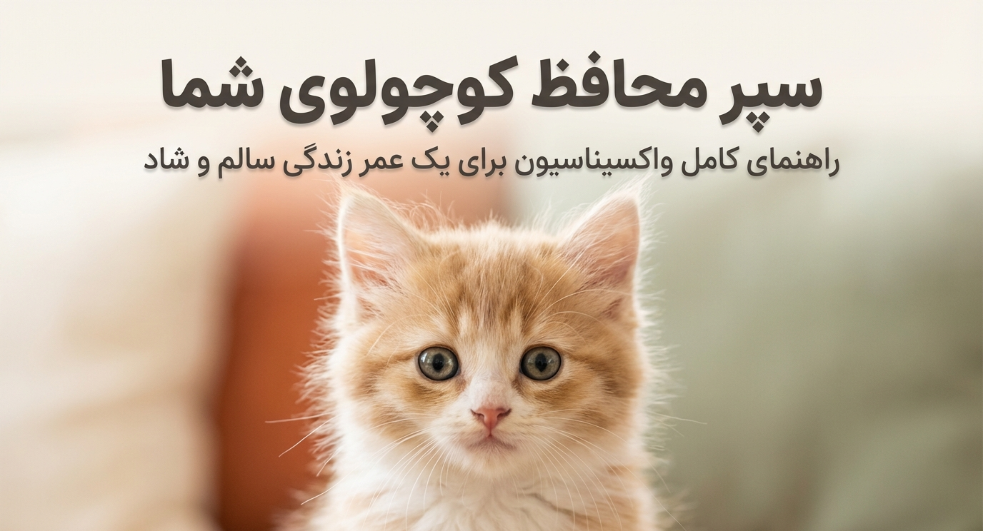 برنامه واکسیناسیون بچه گربه