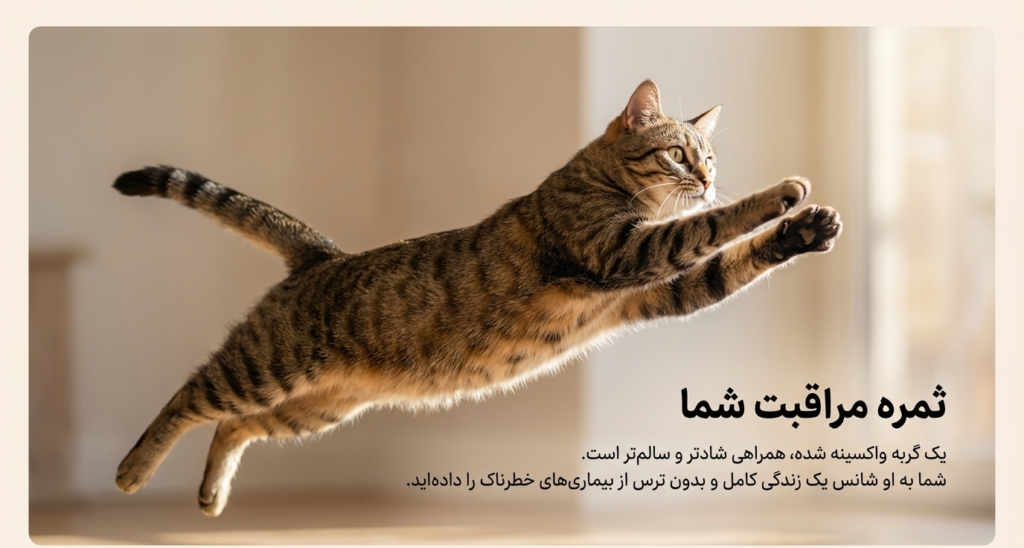 برنامه واکسیناسیون بچه گربه