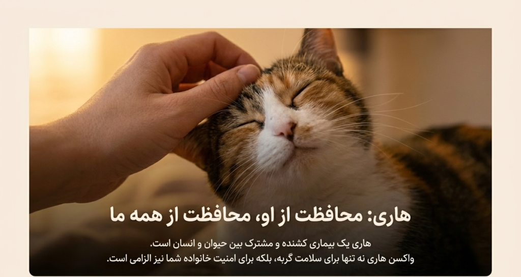 برنامه واکسیناسیون بچه گربه