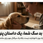 علت بوی بد سگ خانگی