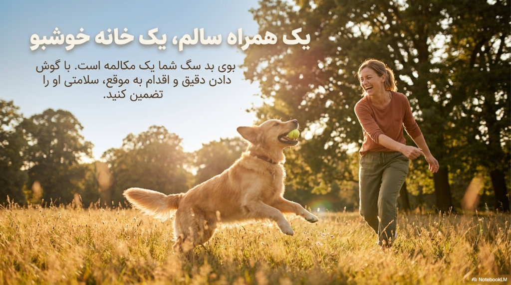 علت بوی بد سگ خانگی 5 بوی بد سگ خانگی