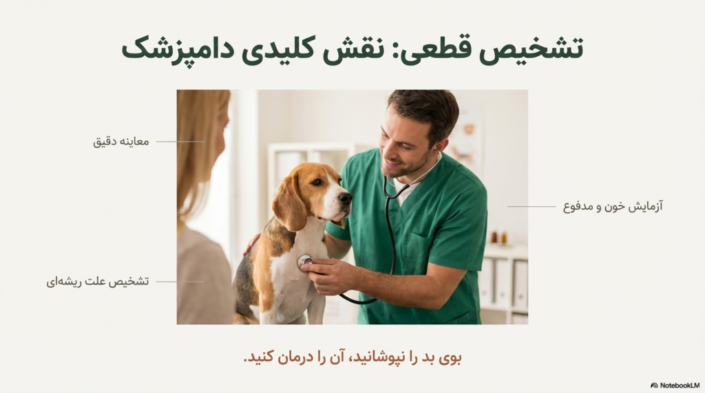 علت بوی بد سگ خانگی 3 بوی بد سگ خانگی