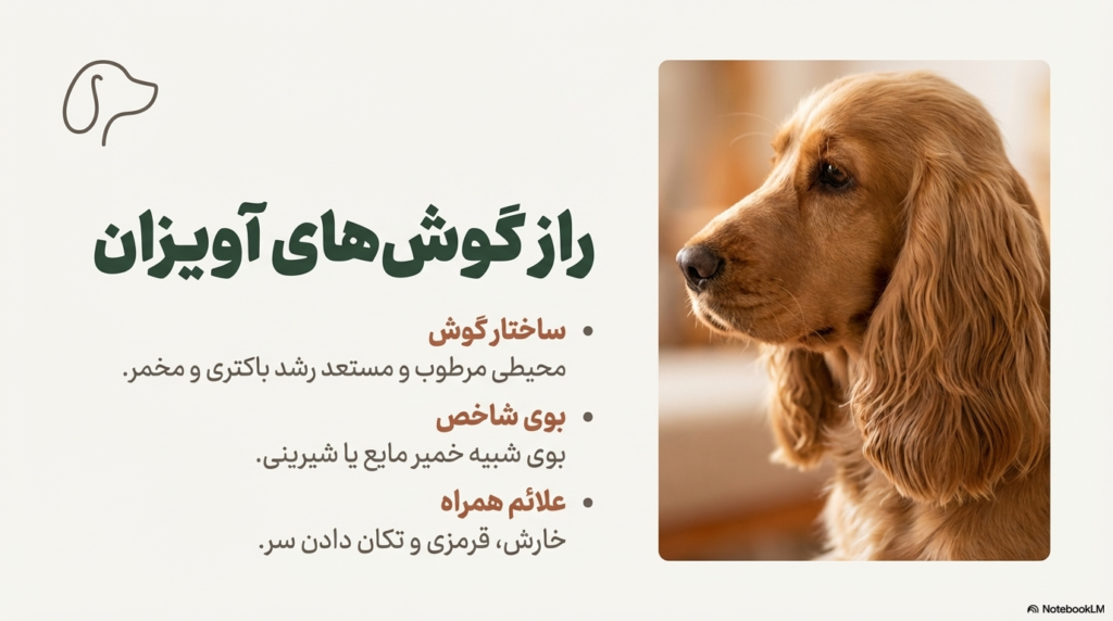 علت بوی بد سگ خانگی 2 بوی بد سگ خانگی