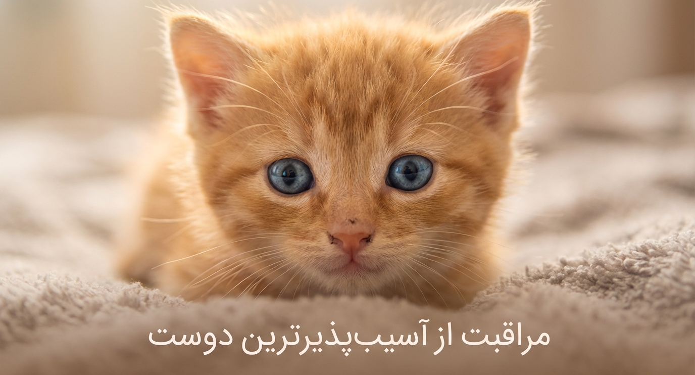 بیماری‌های شایع در بچه گربه‌ها