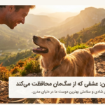 خطرات آزاد گذاشتن سگ و جایگزین‌های ایمن