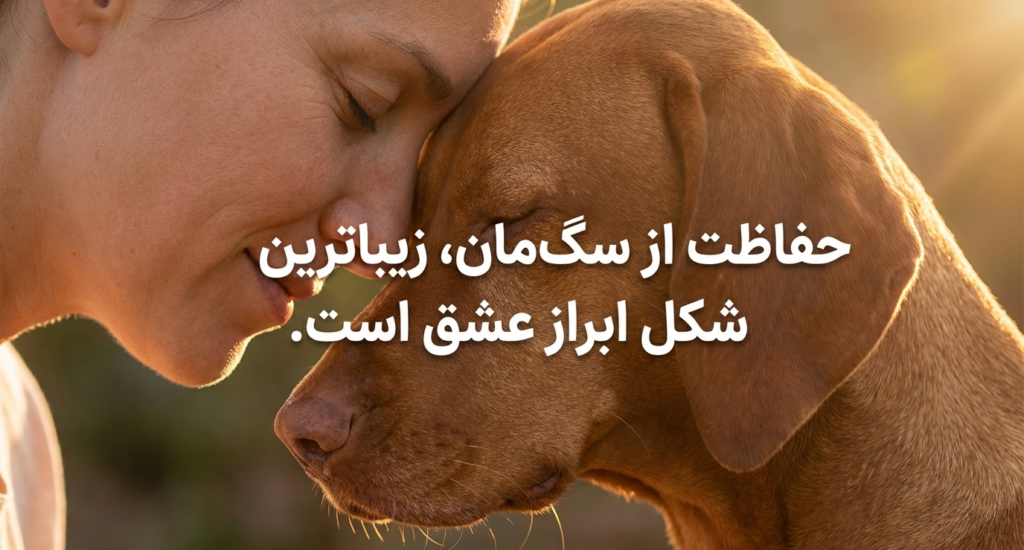 خطرات آزاد گذاشتن سگ