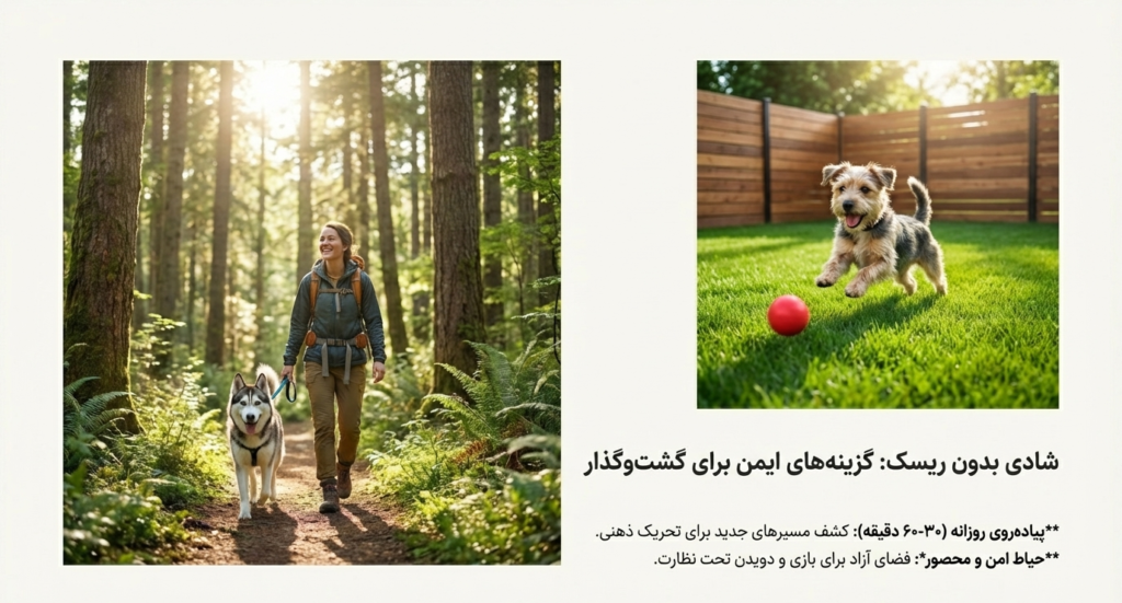 خطرات آزاد گذاشتن سگ