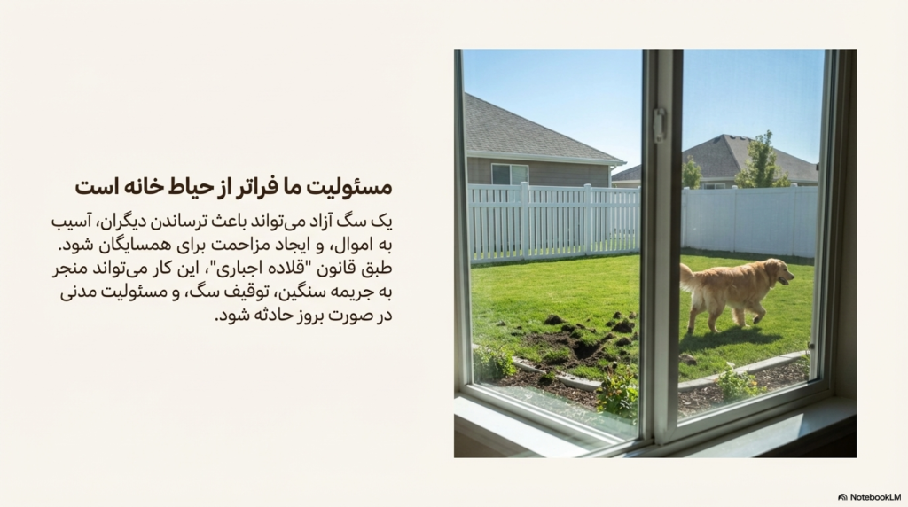 خطرات آزاد گذاشتن سگ