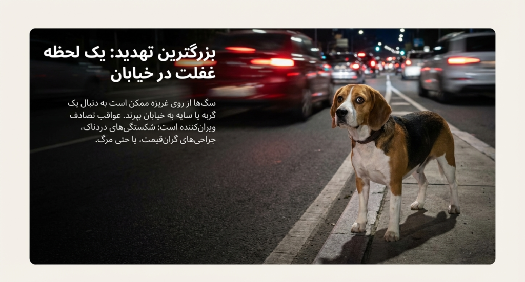 خطرات آزاد گذاشتن سگ