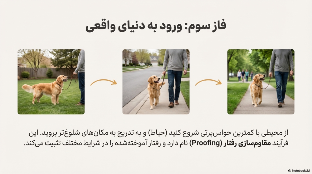 آموزش راه رفتن سگ با قلاده یا بند 4 راه رفتن سگ با قلاده یا بند