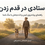 آموزش راه رفتن سگ با قلاده یا بند