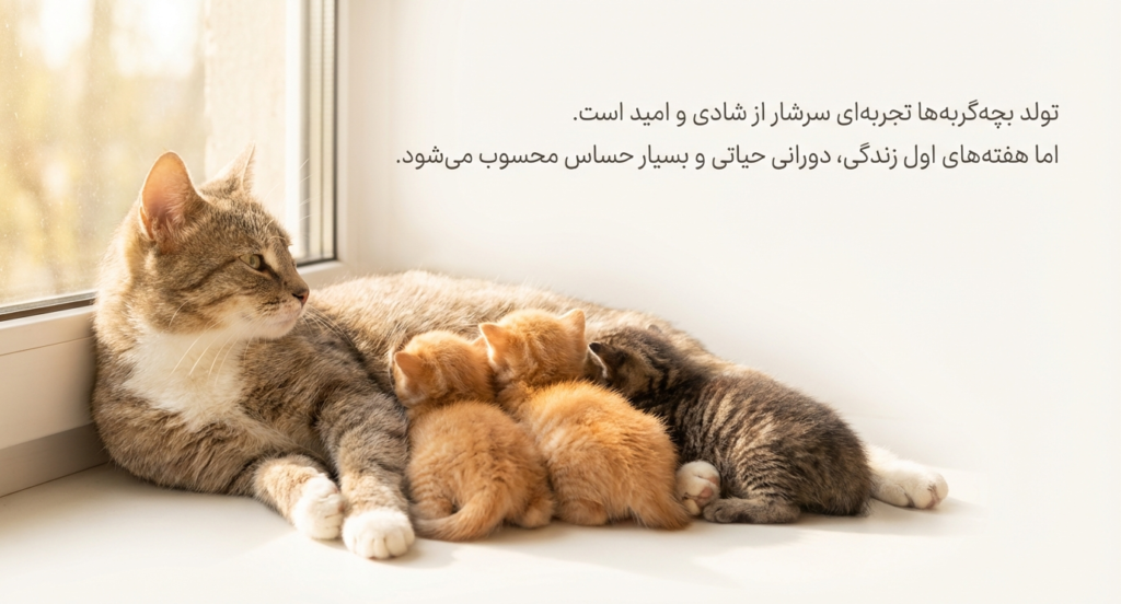 سندرم بچه‌گربه محو شونده