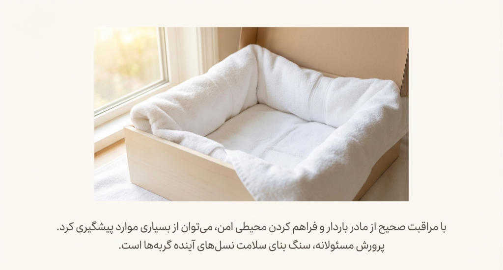 سندرم بچه‌گربه محو شونده