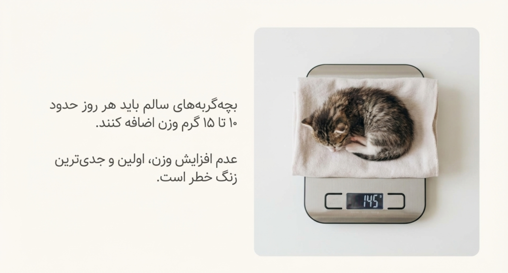 سندرم بچه‌گربه محو شونده