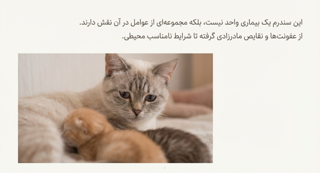 سندرم بچه‌گربه محو شونده