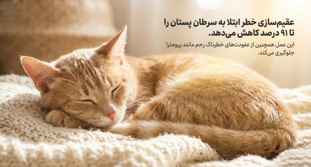 عقیم‌سازی گربه ماده