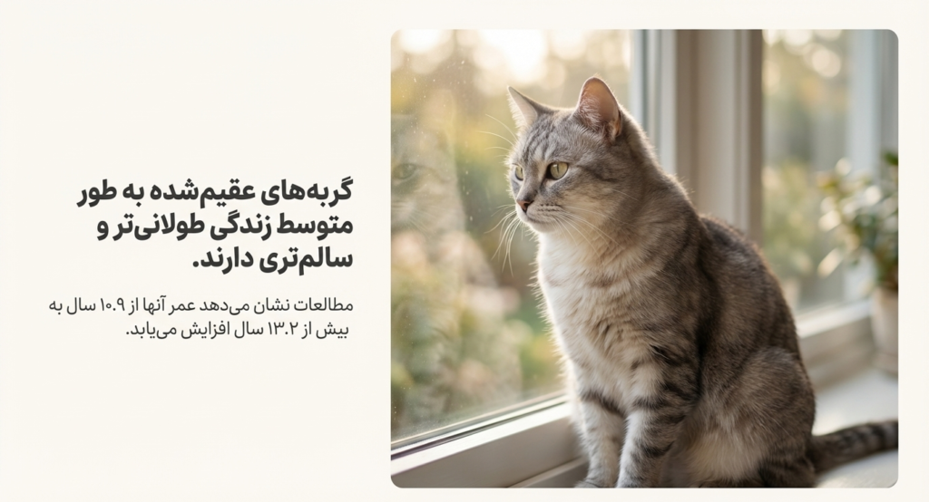 عقیم‌سازی گربه ماده