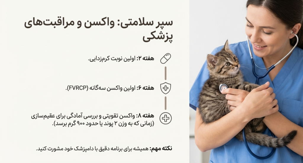 مراحل رشد بچه گربه از تولد تا ۸ هفتگی 10 مراحل رشد بچه گربه از تولد تا ۸ هفتگی