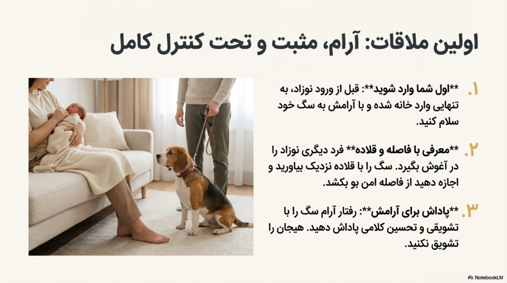 راهنمای جامع معرفی سگ به نوزاد 3 معرفی سگ به نوزاد