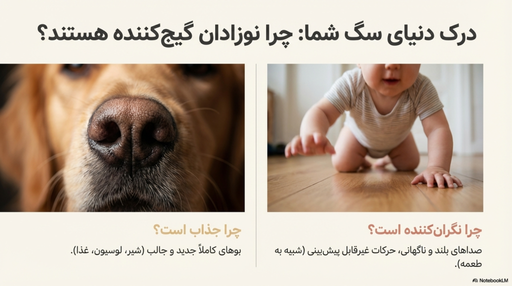 راهنمای جامع معرفی سگ به نوزاد 1 معرفی سگ به نوزاد