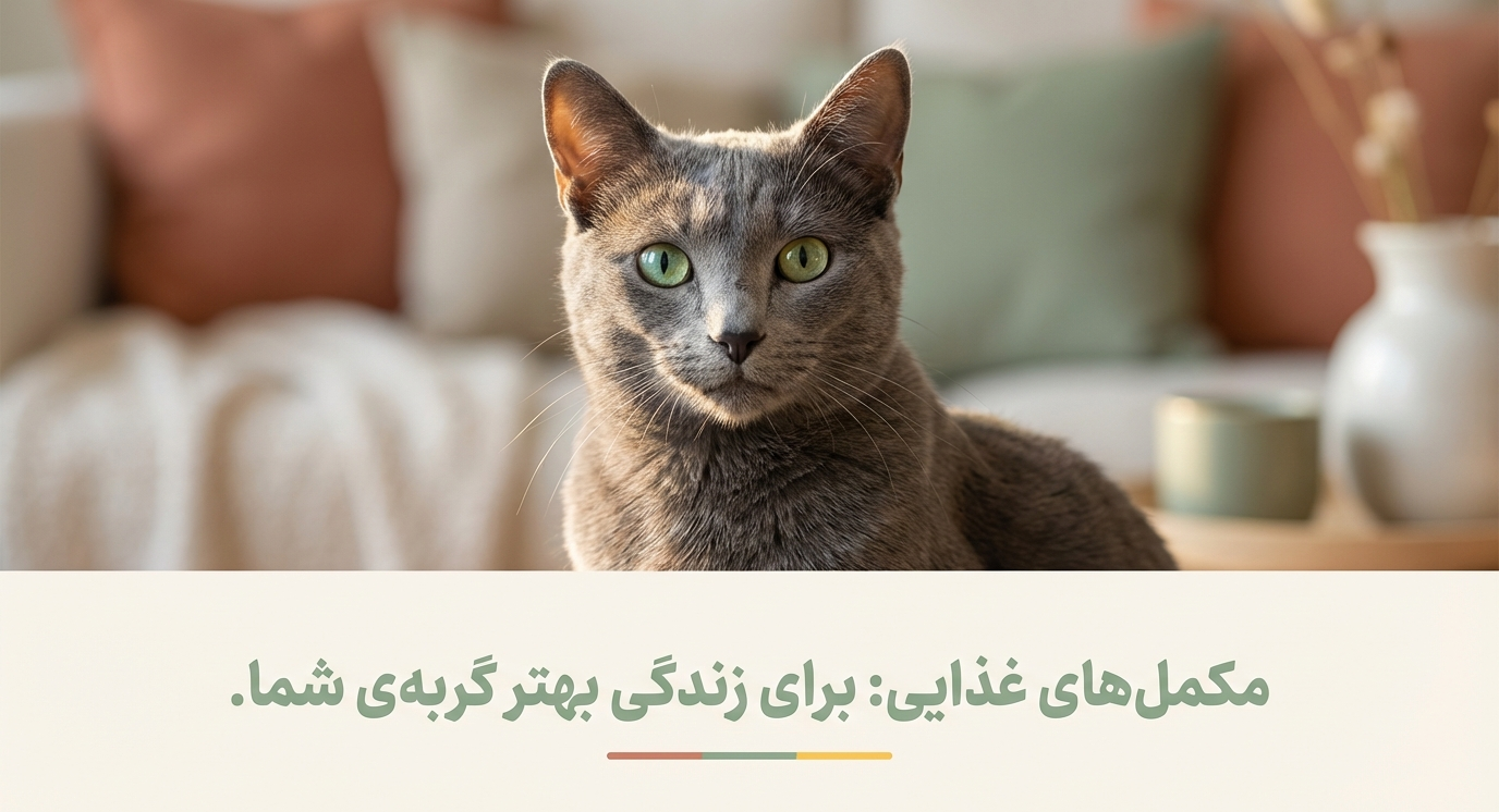 مکمل‌های غذایی گربه‌ها