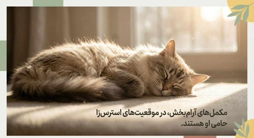 مکمل‌های غذایی گربه‌ها