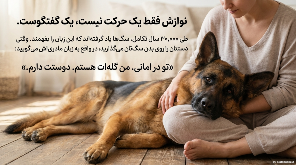 نوازش سگ، چرا سگها عاشق نوازش شدن هستند؟ 5 نوازش سگ