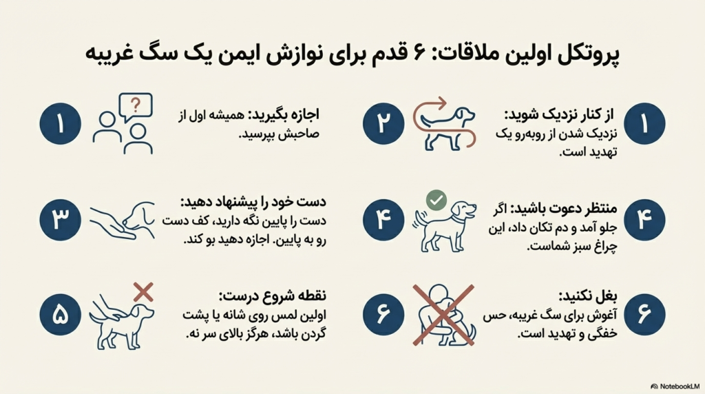 نوازش سگ، چرا سگها عاشق نوازش شدن هستند؟ 4 نوازش سگ